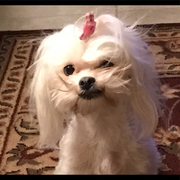 Meet your Posher, Margarita - Picture 1 of 1